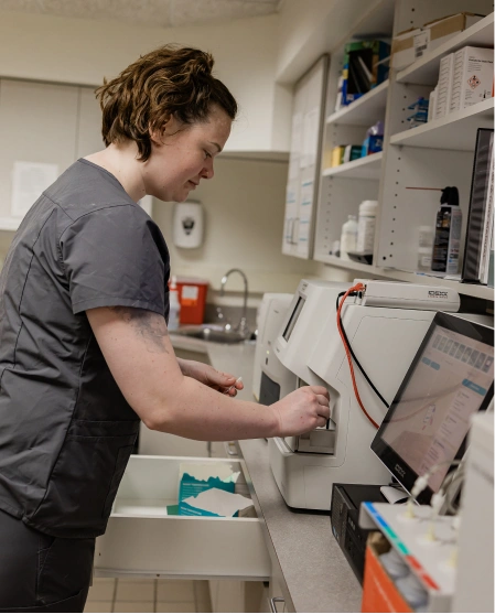 A veterinary staff member operating diagnostic lab equipment in a clinic lab area.