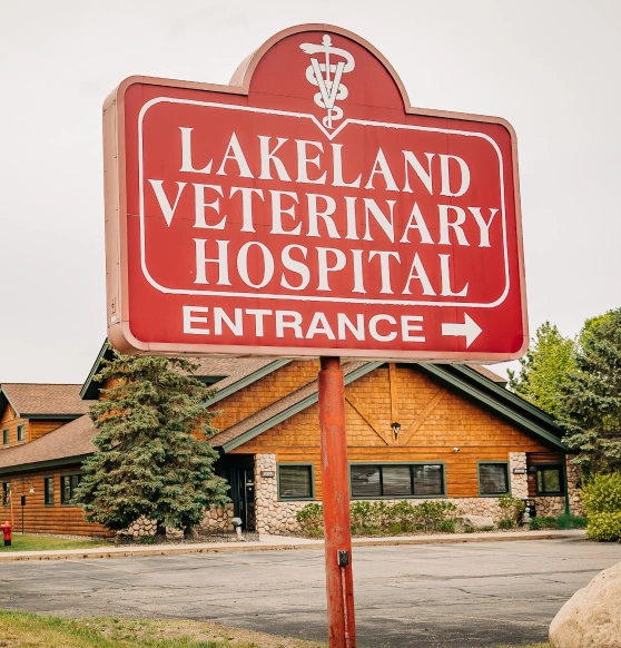 Outside Board of Lakeland Veterinary Hospital