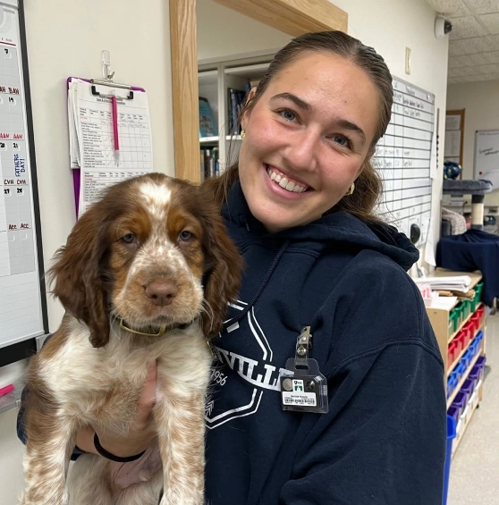 Veterinarian holding a brown and white puppy at Lakeland Veterinary Hospital