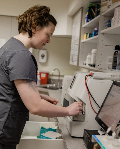 Veterinary technician operating an in-house diagnostic lab analyzer machine