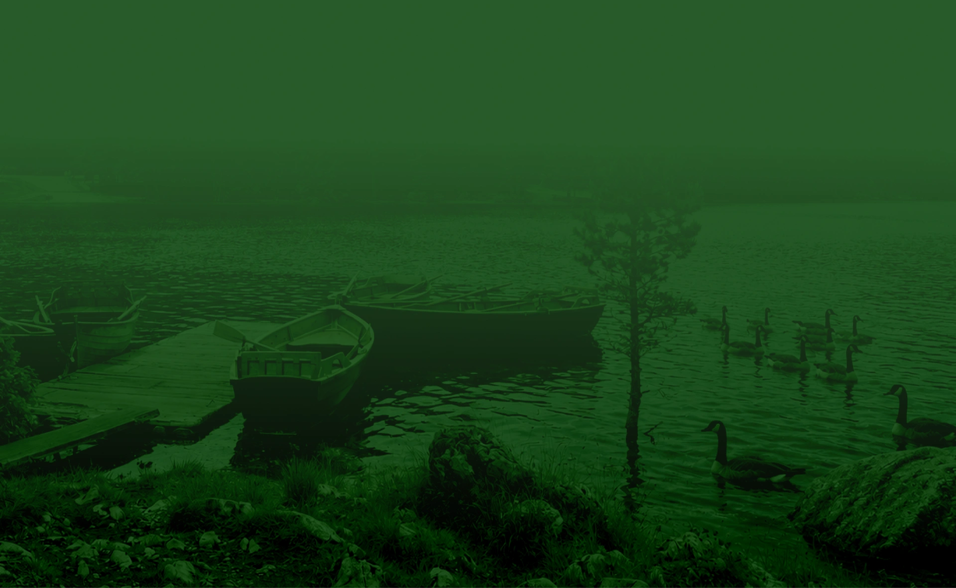 Another green duotone image — this one shows a misty lake scene with wooden rowboats tied at a dock, a lone tree, and a flock of geese swimming on the water. What would you like me to do with these images?