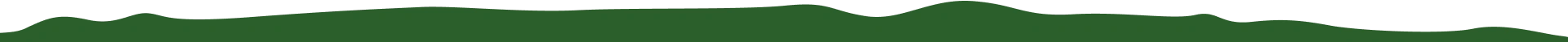 Section Curve